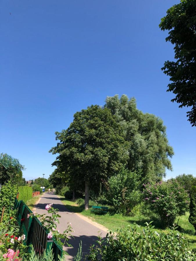 Ferienhaus Rupnow Plau am See Exterior foto